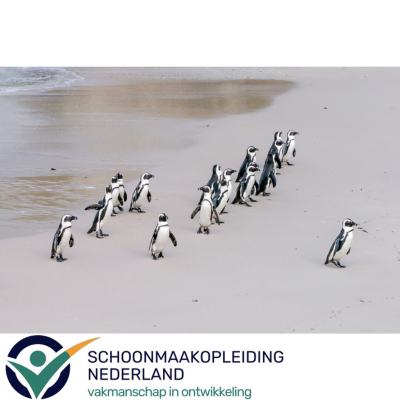 Vakinhoudelijk leiderschap in de schoonmaak